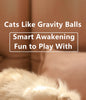 XElectronics™ Cat Smart Ball